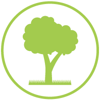 Tree Pruning, Total Tree Care